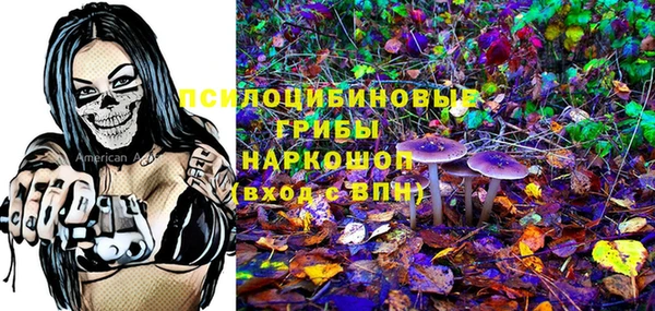 ПСИЛОЦИБИНОВЫЕ ГРИБЫ Вяземский