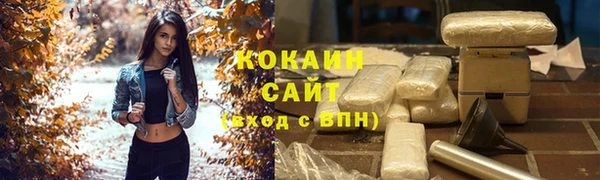 шишки Богданович